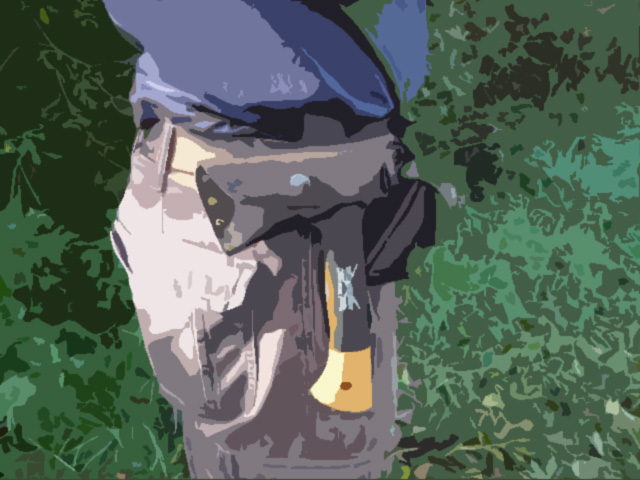Image du post 5
